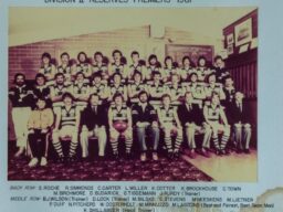 1981 D2 Res SAFA premiers