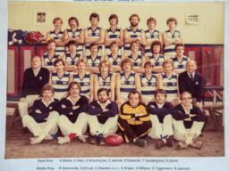 1982 Div 2 Res SAFA premiers