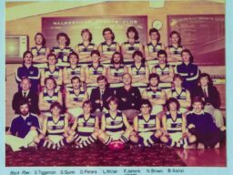 1983 Div 2 Res SAFA premiers