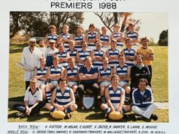 1988 C.Grade SAFA Div 4 premiers